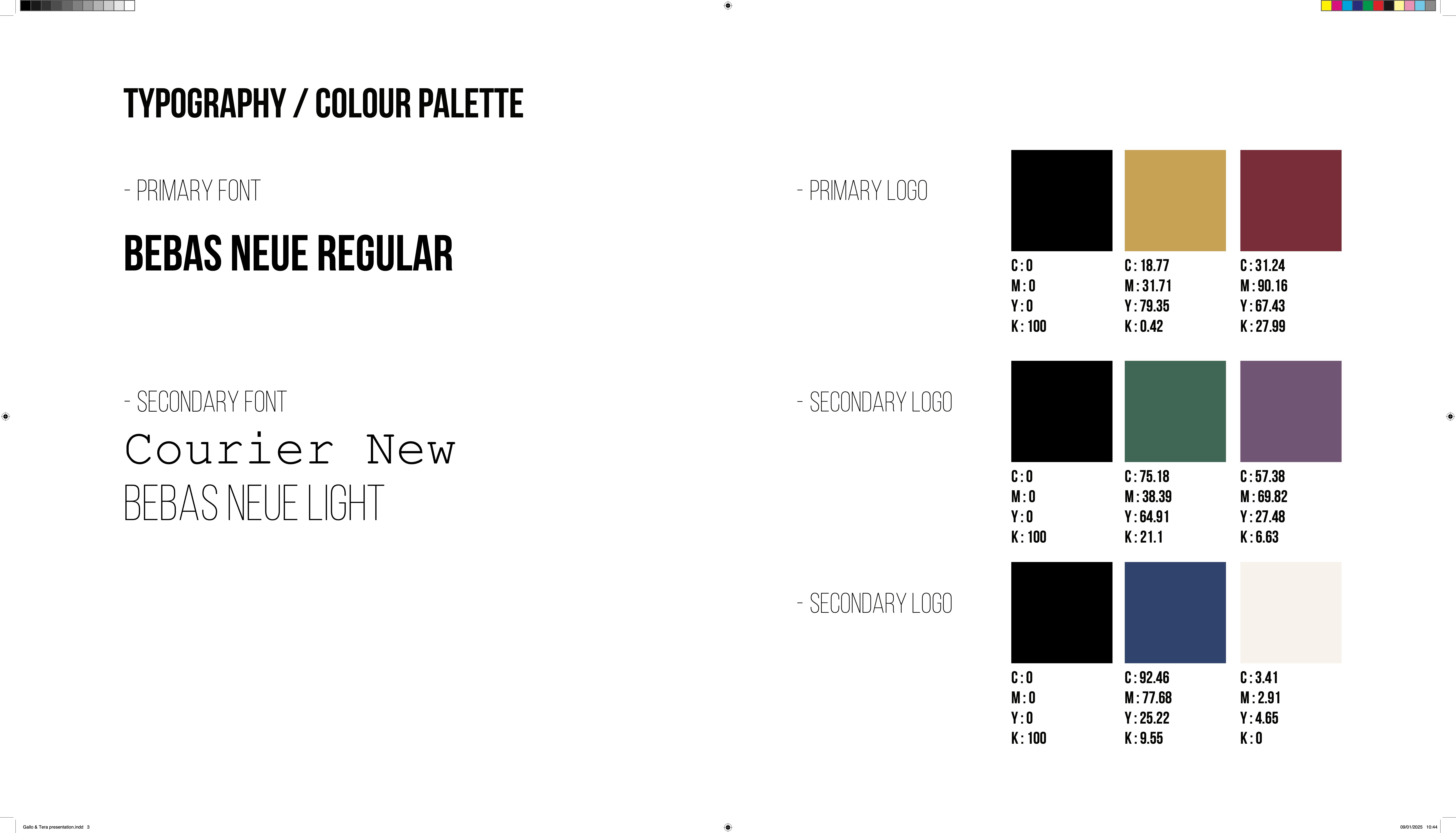 Typography and Color Palette